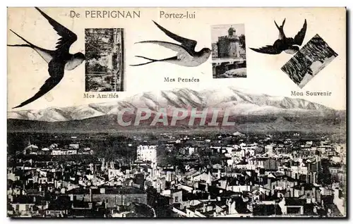 Cartes postales Perpignan Portez lui mes pensees Mes amities Mon souvenir Hirondelles