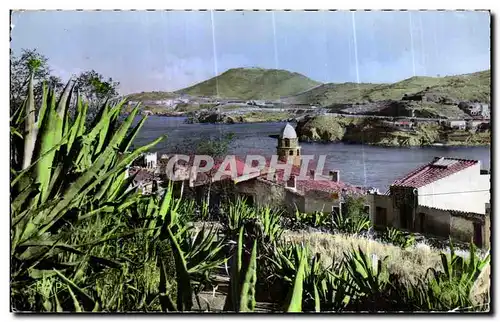 Cartes postales Collioure Vue Ponaramique