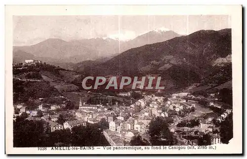 Cartes postales Amelie les Bains Vue panoramique su fond le Canigou