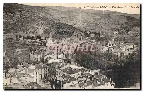 Cartes postales Amelie les Bains Vue Generale et Palalda