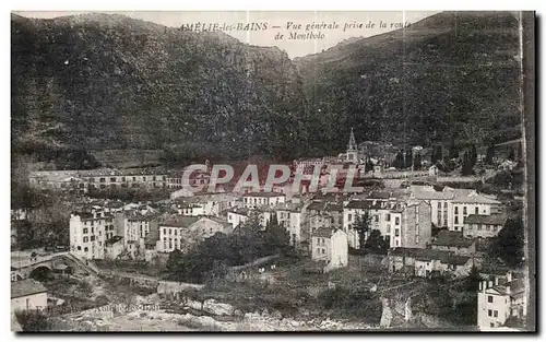 Cartes postales Amelie les Bains Vue generale prise de la route de Montbolo