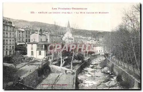 Cartes postales Amelie Les Bains La Rive Gauche Du Mondony