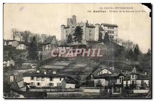 Cartes postales Le Cantal Pittoresque Aurillac Chateau de St Etienne Cote Est