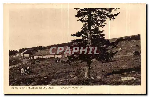 Cartes postales Les Hautes Chaumes Gazon Martin