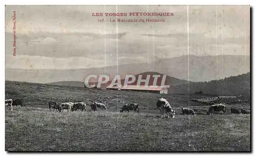 Cartes postales Les Vosges Pittoresques La Marcairie du Hohneck