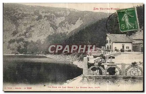 Cartes postales Les Hautes Vosges Un Coin du Lac Noir La Digue