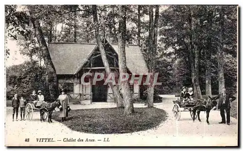 Cartes postales Vittel Chalet des Anes Ane Donkey