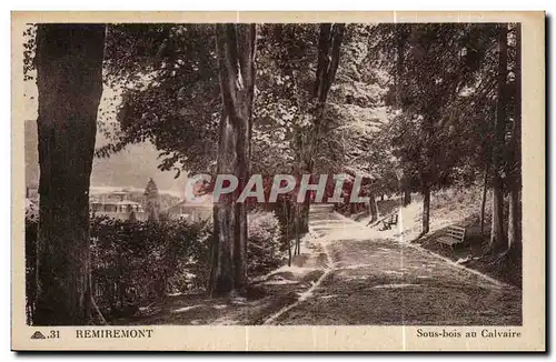 Cartes postales Remiremont Sous Bois au Calvaire