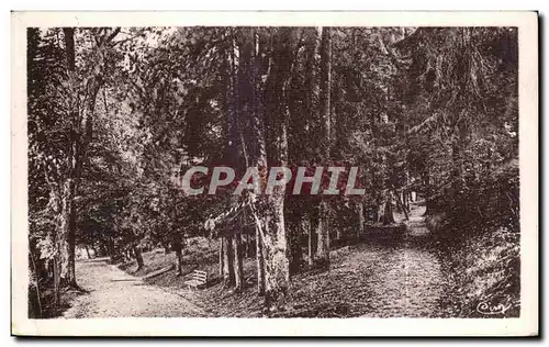 Ansichtskarte AK Remiremont (Vosges) Promenade du Calvaire