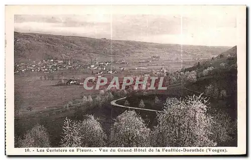 Ansichtskarte AK Les Cerisiers en Fleure Vue du Grand Hotel de la Feuillee Dorothee (Vosges)