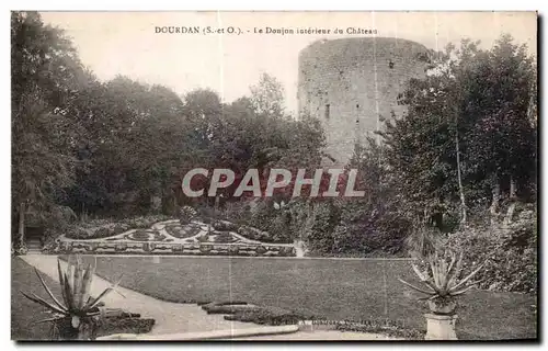 Cartes postales Dourdan Le Donjon interieur du Chateau