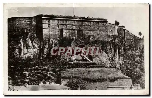 Cartes postales Belfort (Territoire) Lion