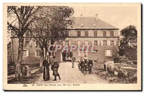 Cartes postales Mont Ste Odile Entree Ane Donkey