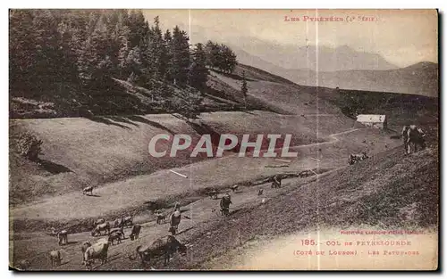 Ansichtskarte AK Les Pyrenees Col de Peyresourde (Cote du Louron) Les paturages