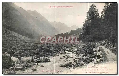 Cartes postales Les Hautes Pyrenees Cauterets Dans le val de Lutour Le Gave et le chemin Muletier Vaches