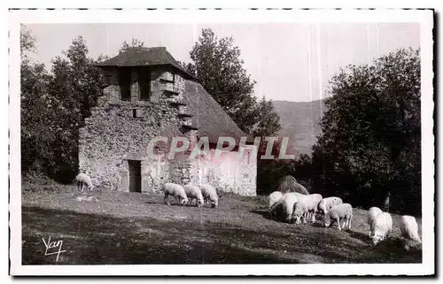 Ansichtskarte AK Argeles Chapelle N D De Castere