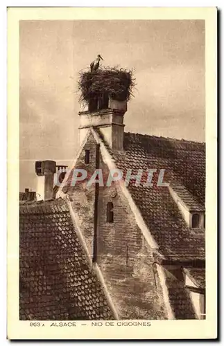 Cartes postales Alsace Nid de cigognes