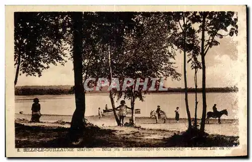 Cartes postales Sille Le Guillaume Sous les frais Ombrages de Coco Plage Ane Donkey