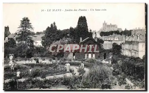 Ansichtskarte AK Le Mans Jardin des Plantes Un beau coin