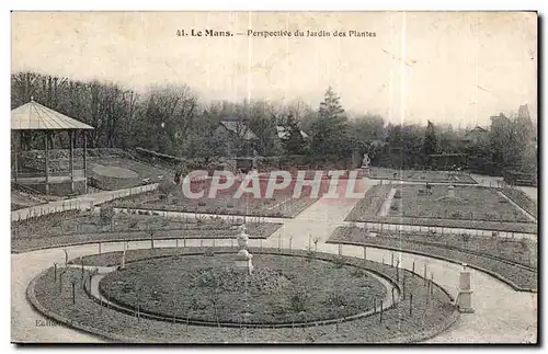 Ansichtskarte AK Le Mans Perspective du Jardin des Plantes