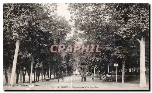 Ansichtskarte AK Le Mans Promenade des jacobins