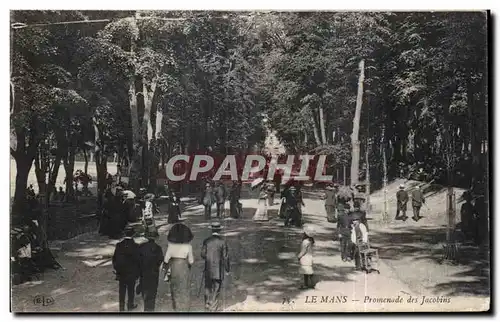 Cartes postales Le Mans Pomenade des Jacobins