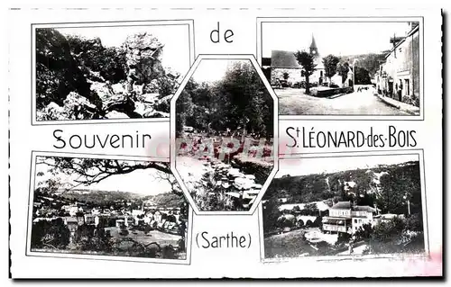 Cartes postales Souvenir St leonard des Bois