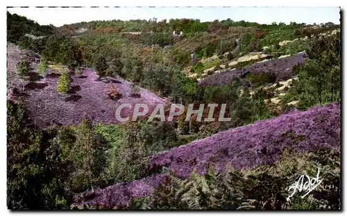 Cartes postales Les Alpes Mancelles St Leonard des Bois