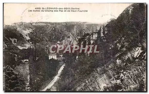 Cartes postales Saint Leonard des Bois Les buttes du Champ des pas de Haut Fourche