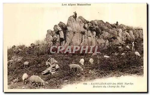 Cartes postales St Leonard des Bois Alpes Mancelles Rochers du champ du bas Moutons