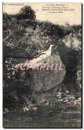 Cartes postales Les Alpes MancellesSt Leonard des Bois La Pierre Beku