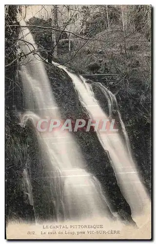 Cartes postales Le Cantal Pittoresque Le saut du Loup pres Vic sur Cere