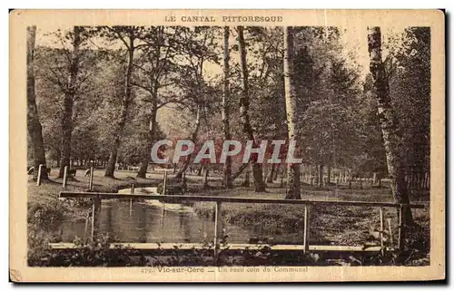 Ansichtskarte AK Le Cantal Pittoresque Vic sur Cere Un beau coin du Communal