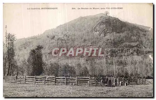 Cartes postales Le Cantal Pittoresque Le Rocher de Muret pres Vic sur Cere