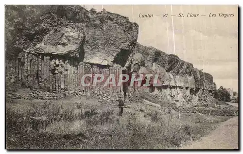 Cartes postales Cantal St Flour Les Orgues