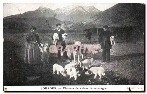 Cartes postales Lourdes Eleveurs de chiens de montagne