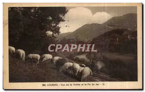 Cartes postales Lourdes Vue de la Vallee et Pic du Jer Berger et moutons