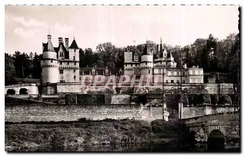 Cartes postales Chateaux De La Loire Rigny Usse Indre   Loire