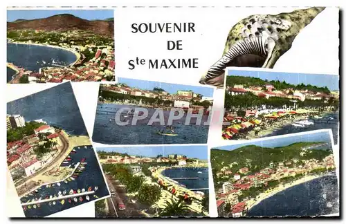 Cartes postales Souvenir De Ste Maxime