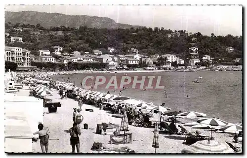 Cartes postales La Cote Des Maeres Le Lavandou