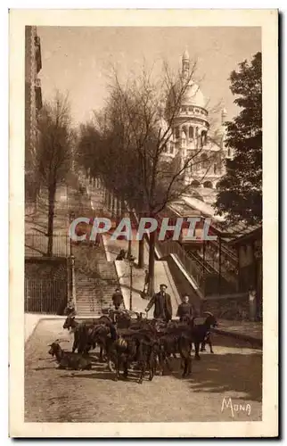 Cartes postales Paris Sacre Coeur Montmatre Chevres Goat Chevrier