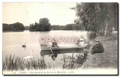 Ansichtskarte AK Lyon Un coin du lac au Pare de la Tete d Or