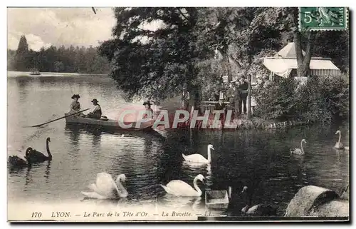 Cartes postales Lyon Parc de la Tete d Or La Buvette Cygne Swan