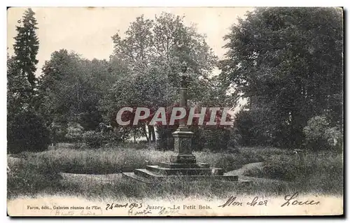 Cartes postales Jussey Le Petit Bois