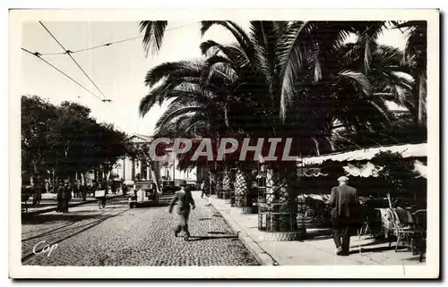 Cartes postales Perpignan Place Arago et le Palmarium