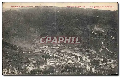 Cartes postales Amelie les Bains Vue generale et Montbolo