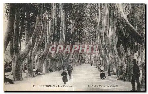 Cartes postales Perpignan Les Platanes