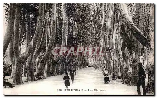 Cartes postales Perpignan Les Platanes