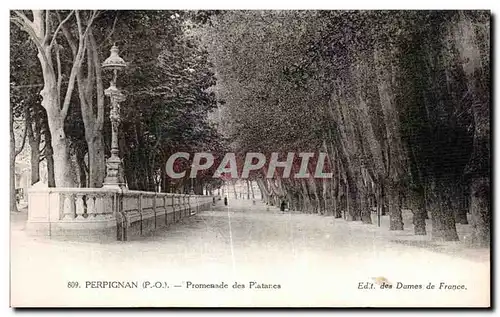 Ansichtskarte AK Perpignan P O Promenade des Platanes