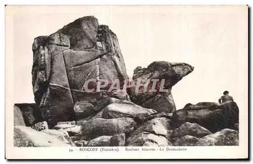 Cartes postales Roscoff Finistere Rochers bizarres Le Dromadaire